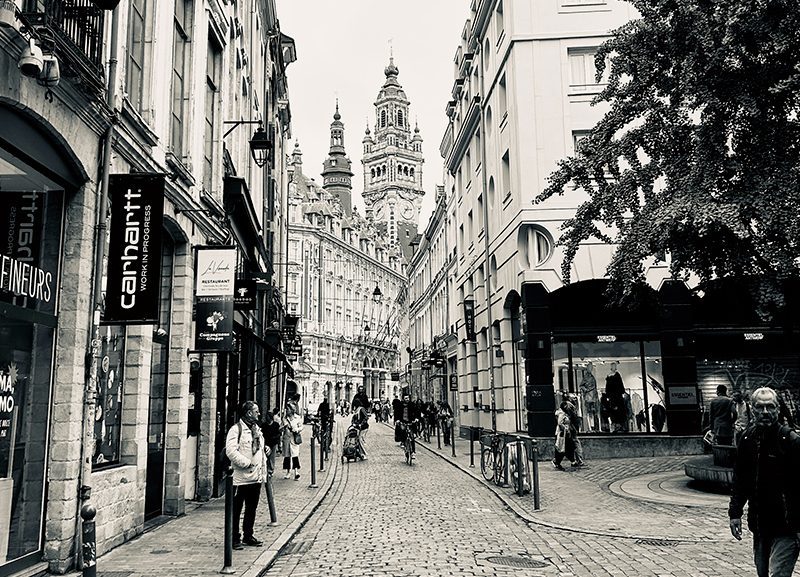 Immobilier - Lille - Hauts-de-France